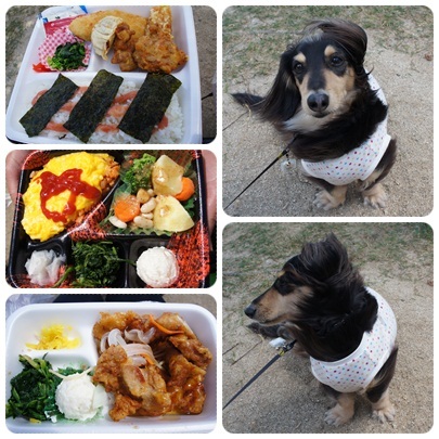 20120512 ランチ~♪