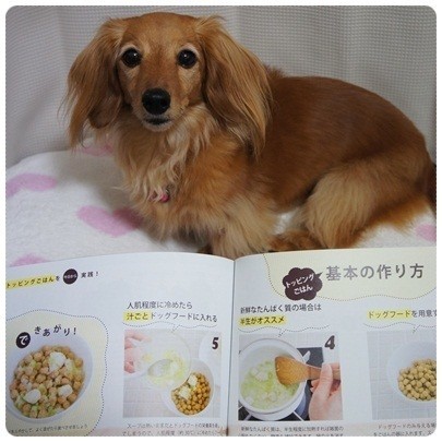 20120712 内容