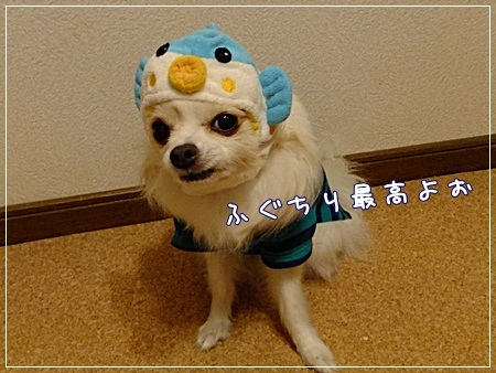 ミミふぐ