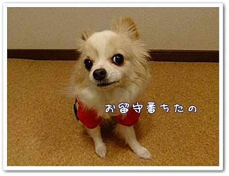 おるすばん