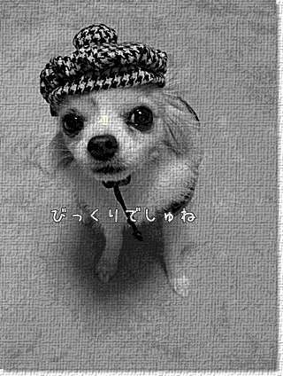 びっくり