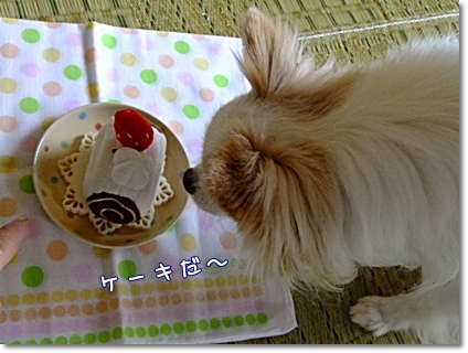 ケーキ」