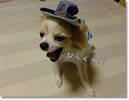 びっくり