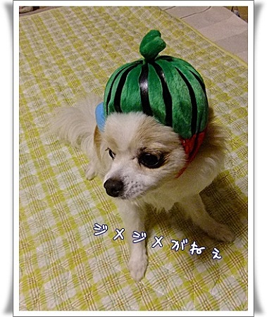 ジメジメ