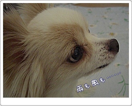 雨風