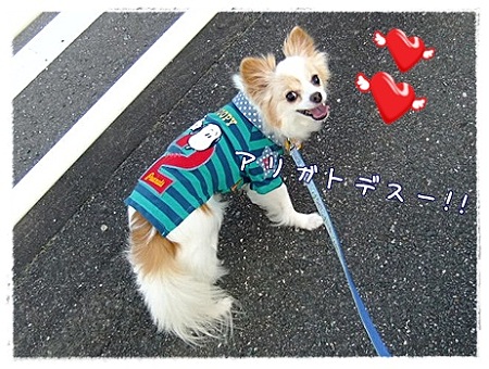 ありがとう