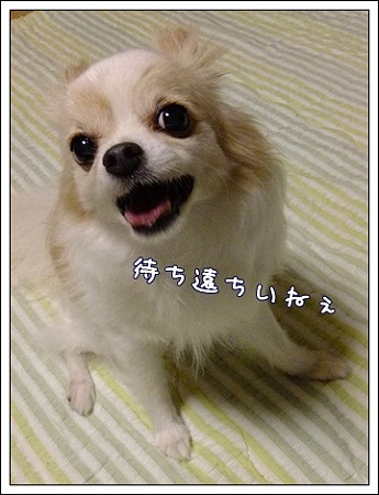 待ち遠しい