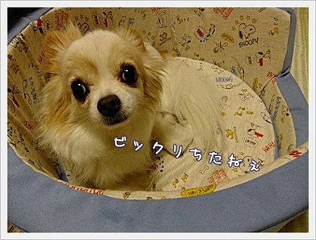 ビックリね