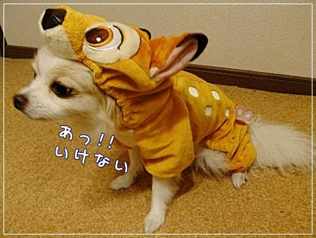 奉仕の心