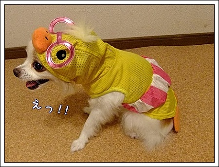 えっ!!
