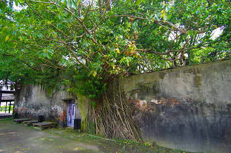 IMGP7067