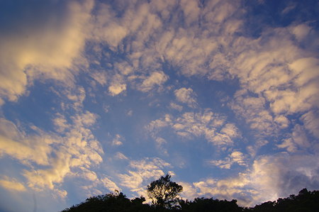 IMGP3886