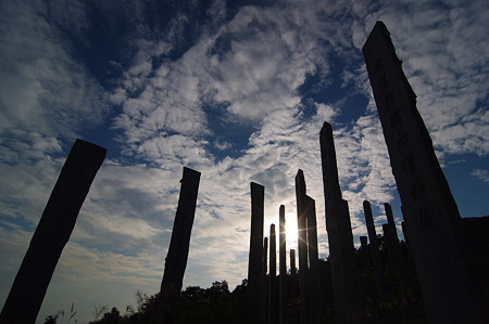IMGP8796