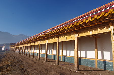 IMGP8459