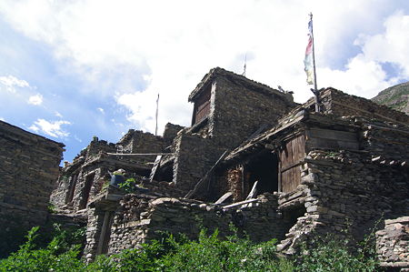 IMGP6784
