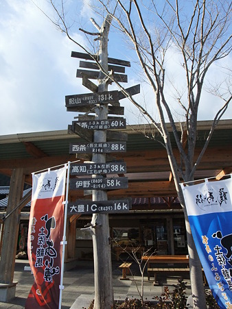 高知11・土佐さめうら-2
