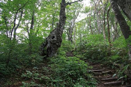 荒島岳(北陸ツーリング)-20100920-115857