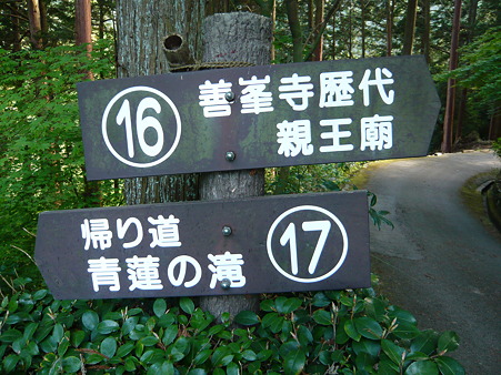 2011.5.8 108