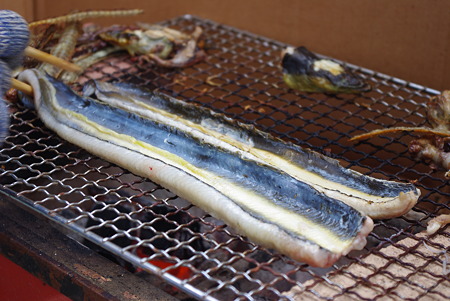 110504浜名湖産天然うなぎ02