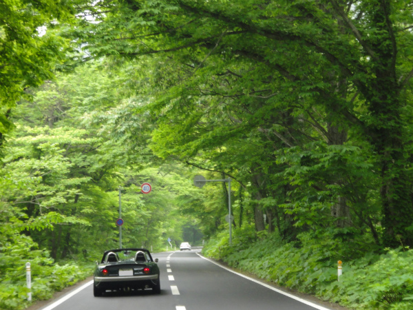 緑の道を進むロードスター