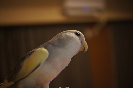 DSC09672