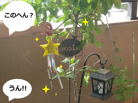 七夕5
