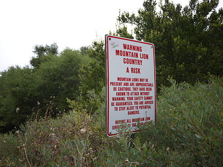 Warning Mountain Lion Country