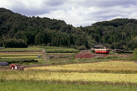 秋の小湊鉄道2010 05