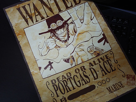 ONE PIECE展004