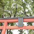 東京の神社