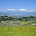 棚田と富士山 南アルプス市 中野地区